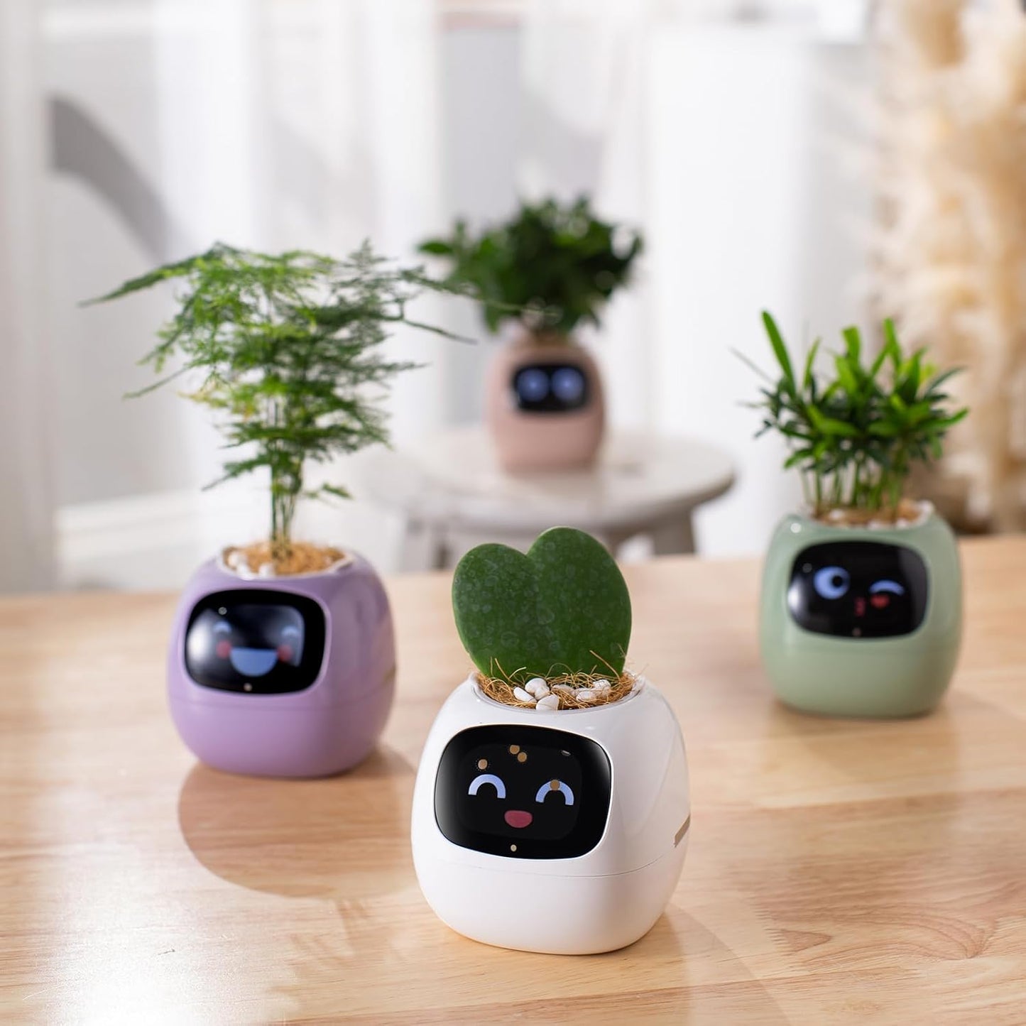Leafy – Your Plant Buddy 🤗🌱
