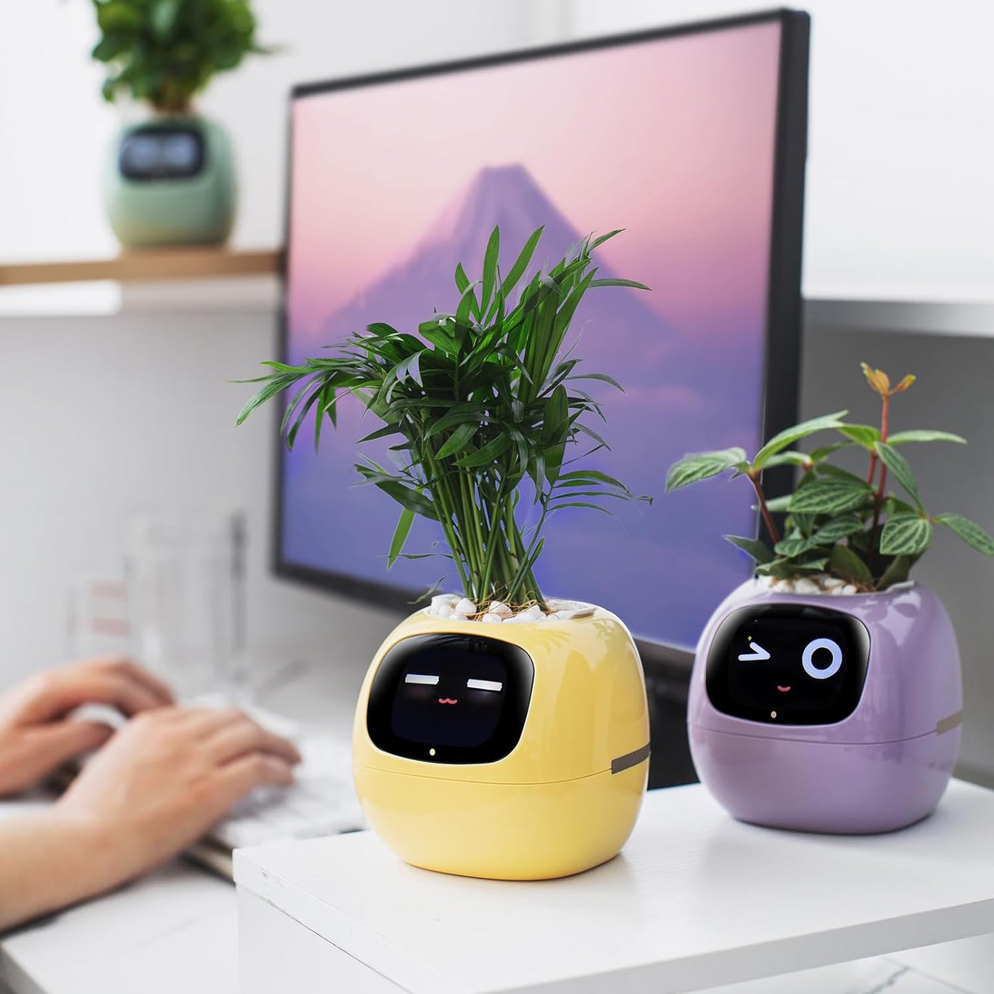 Leafy – Your Plant Buddy 🤗🌱