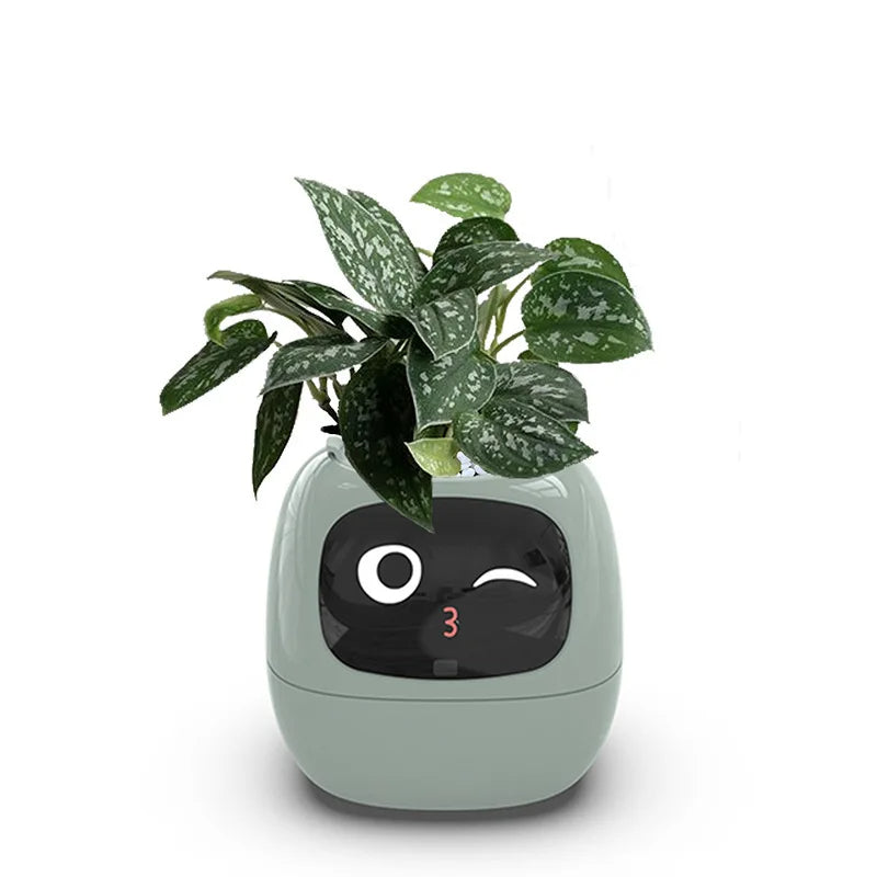 Leafy – Your Plant Buddy 🤗🌱