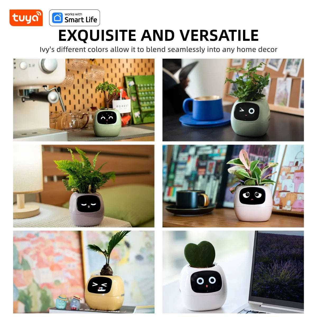Leafy – Your Plant Buddy 🤗🌱