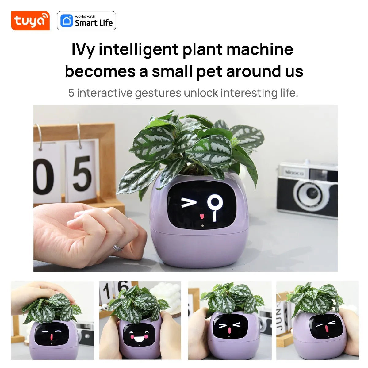Leafy – Your Plant Buddy 🤗🌱