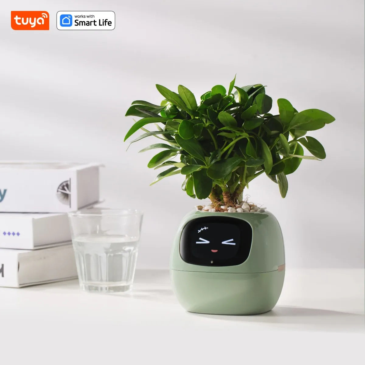 Leafy – Your Plant Buddy 🤗🌱