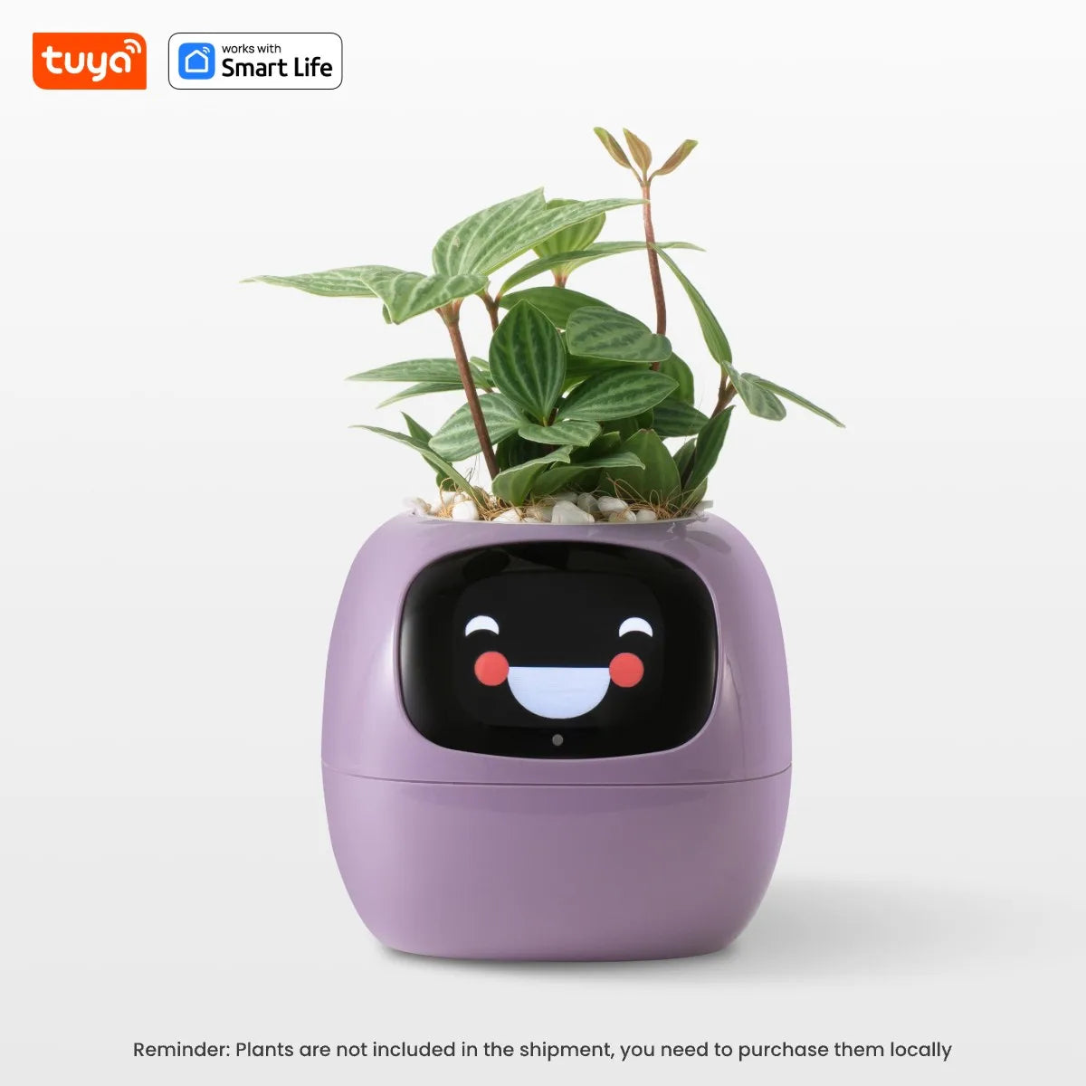 Leafy – Your Plant Buddy 🤗🌱