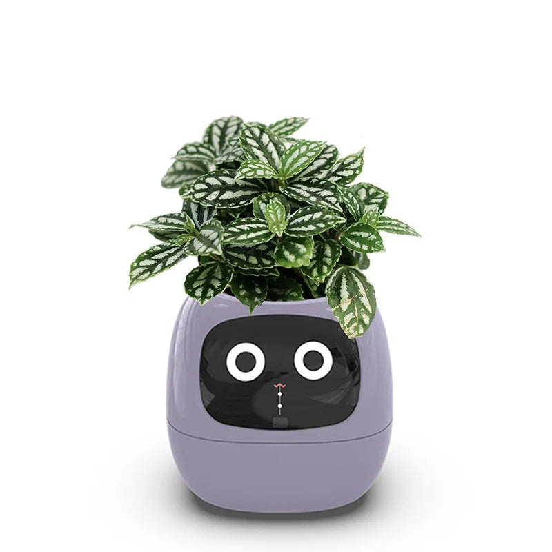Leafy – Your Plant Buddy 🤗🌱