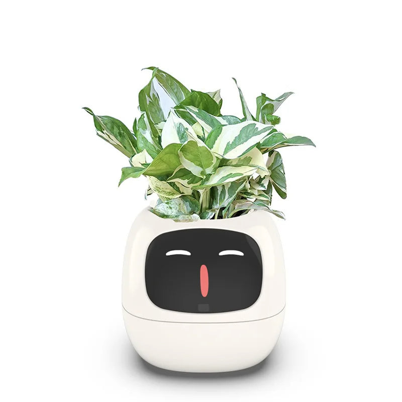 Leafy – Your Plant Buddy 🤗🌱
