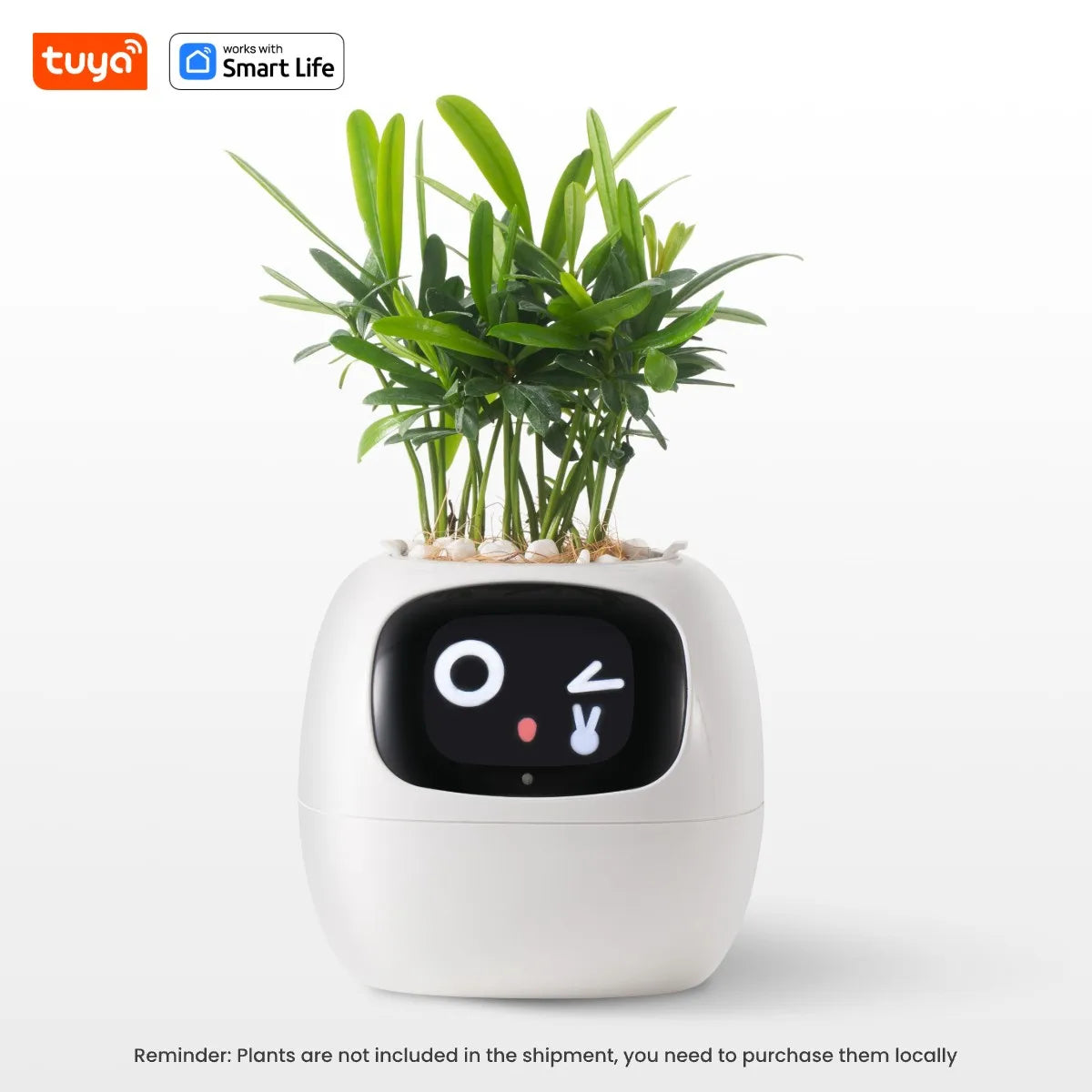 Leafy – Your Plant Buddy 🤗🌱