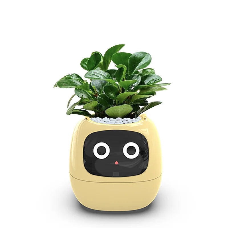 Leafy – Your Plant Buddy 🤗🌱